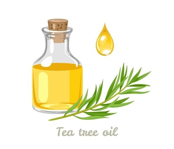 tea tree oil for toothache