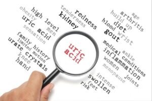 uric acid in body